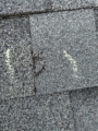Full-Service Residential Roofing and Restoration